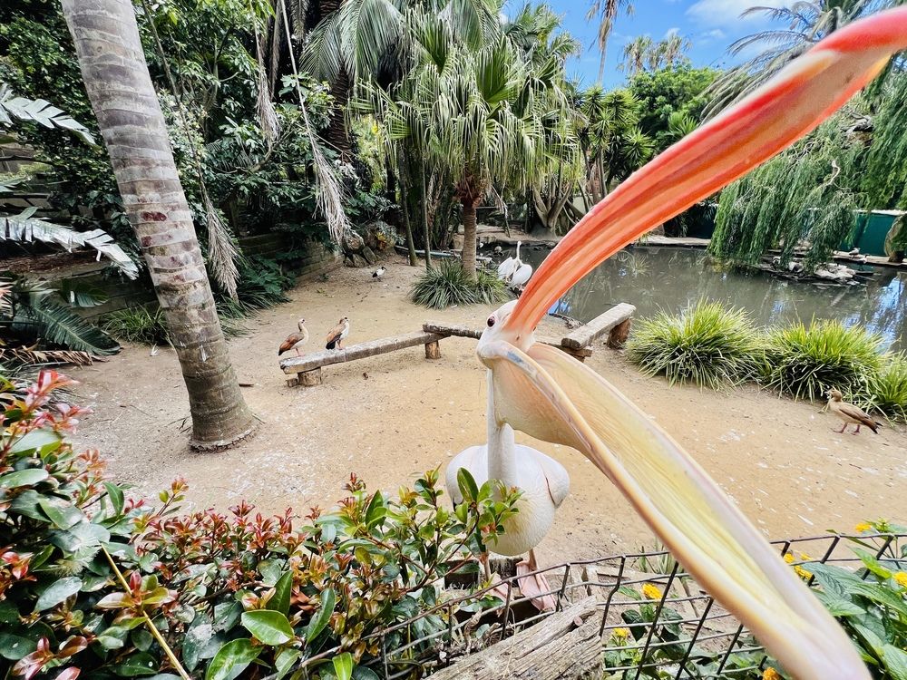 Photograph by Andrew Becker