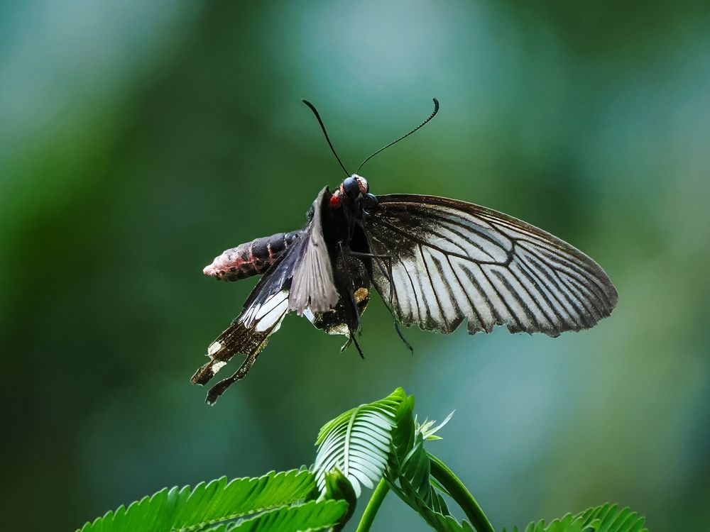 Photograph by Dzulfikri Dzulfikri