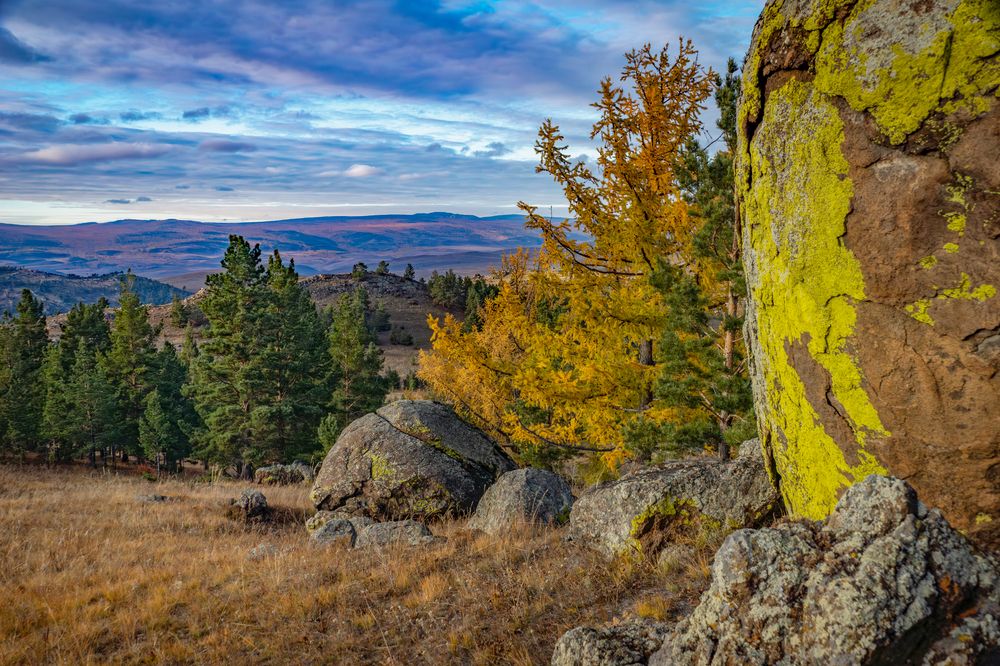 Photograph by Людмила Александровна