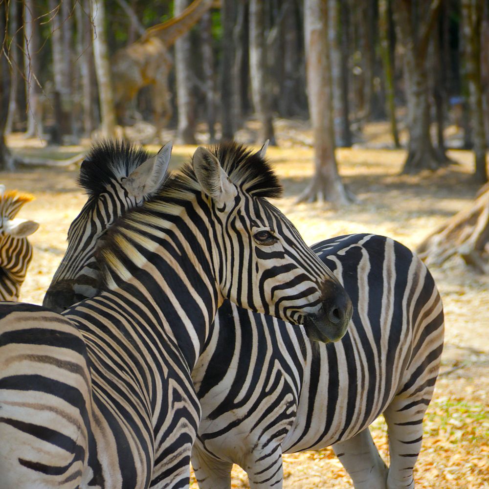 Photograph by Максим Тельманов