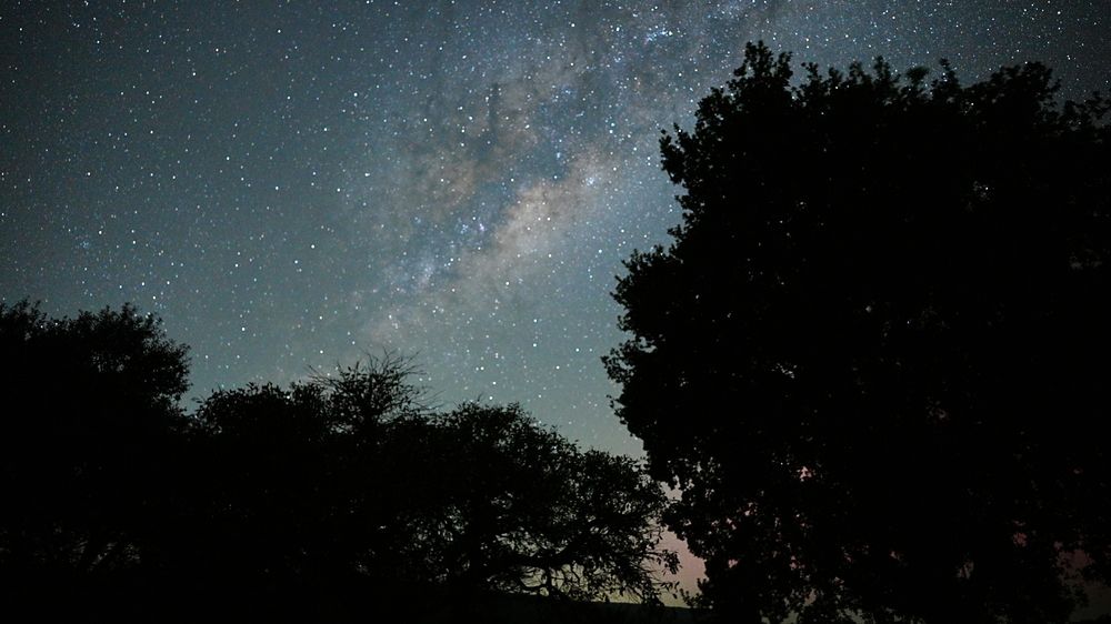 Photograph by Andrew Becker