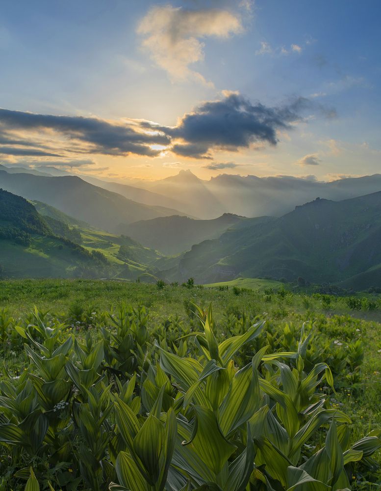 Фотография автора Шипунова Ирина