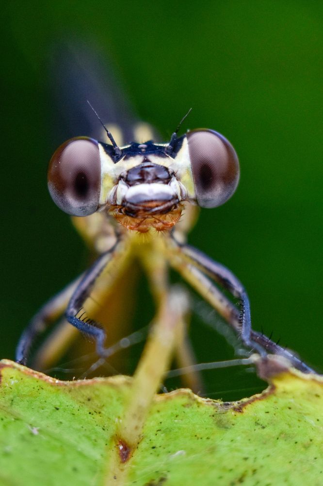 Photograph by ANU K MURALEEDHARAN