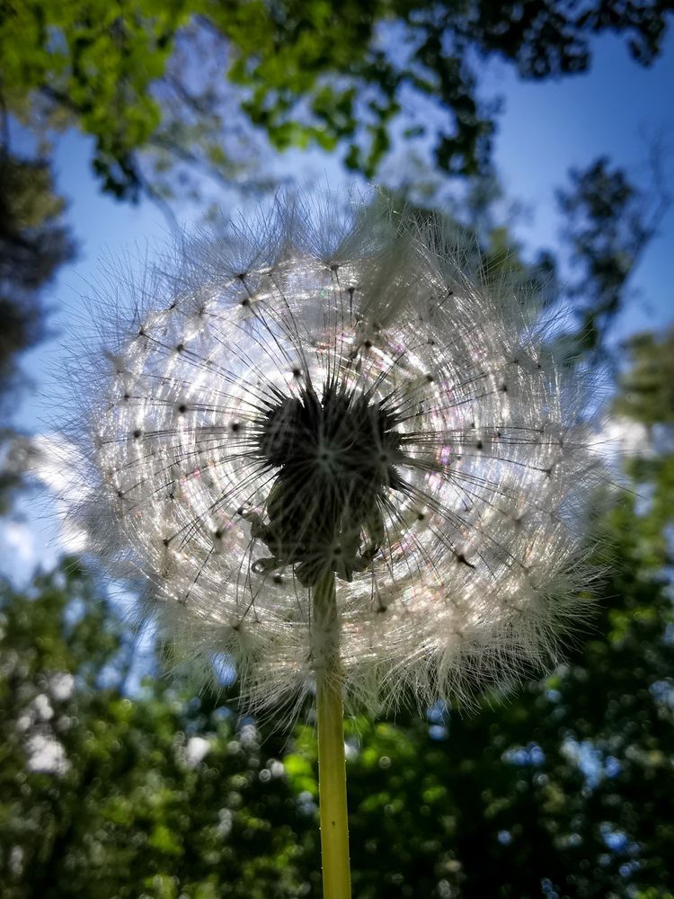 Фотография автора Дмитрий