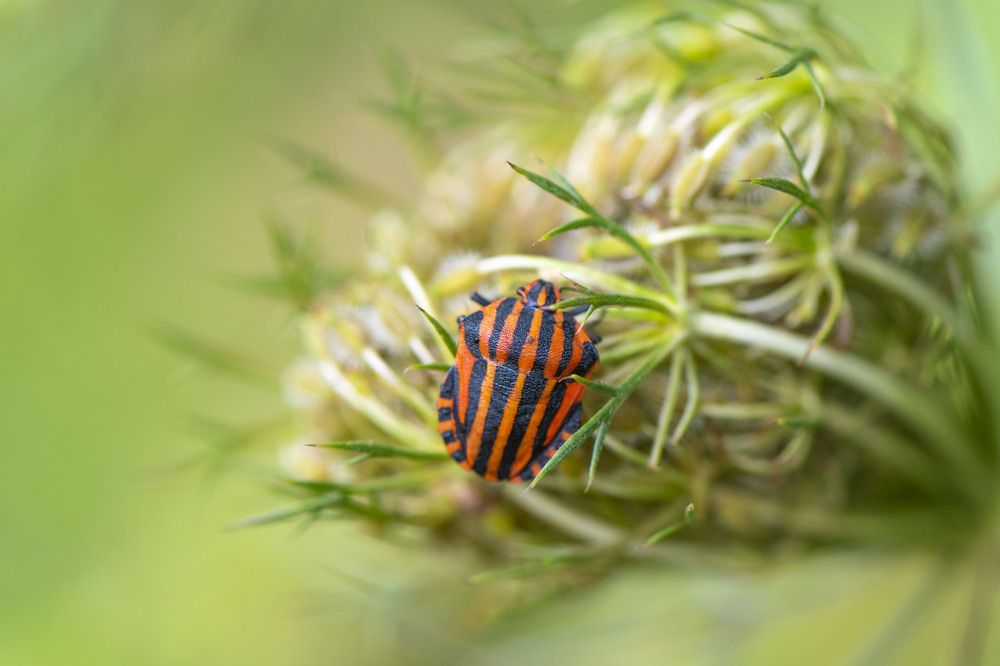 Photograph by Stephanie Michaud