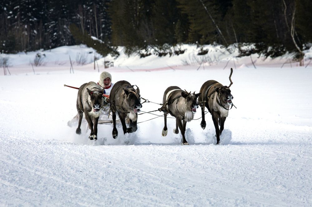 Photograph by Татьяна Борисова