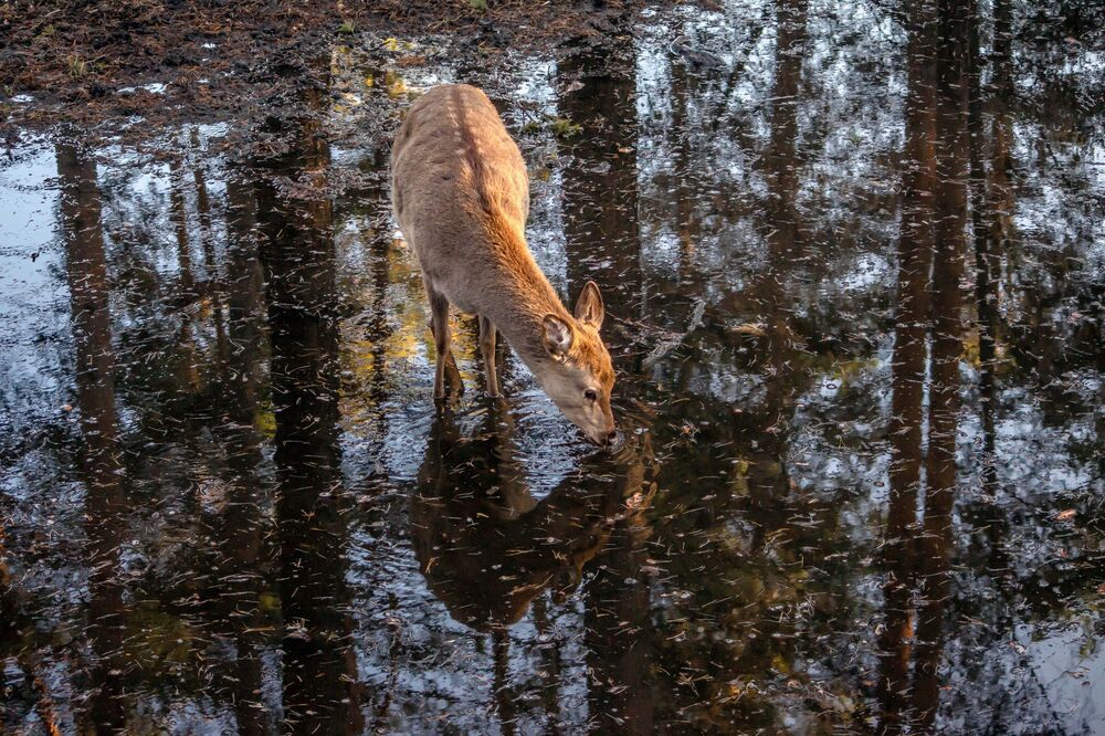 Photograph by Ольга Ильина