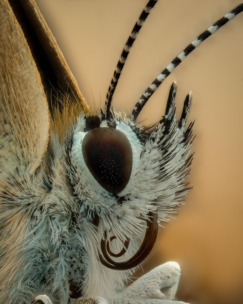 Photograph by Юрий Юрьевич Подгрушный