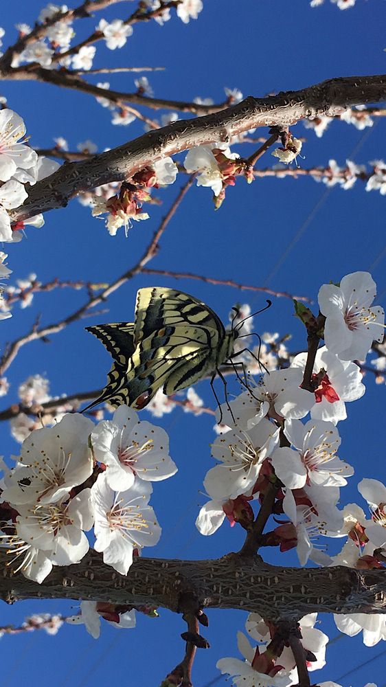 Photograph by Мария Карпычева