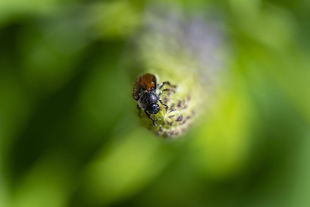 Photograph by Stephanie Michaud