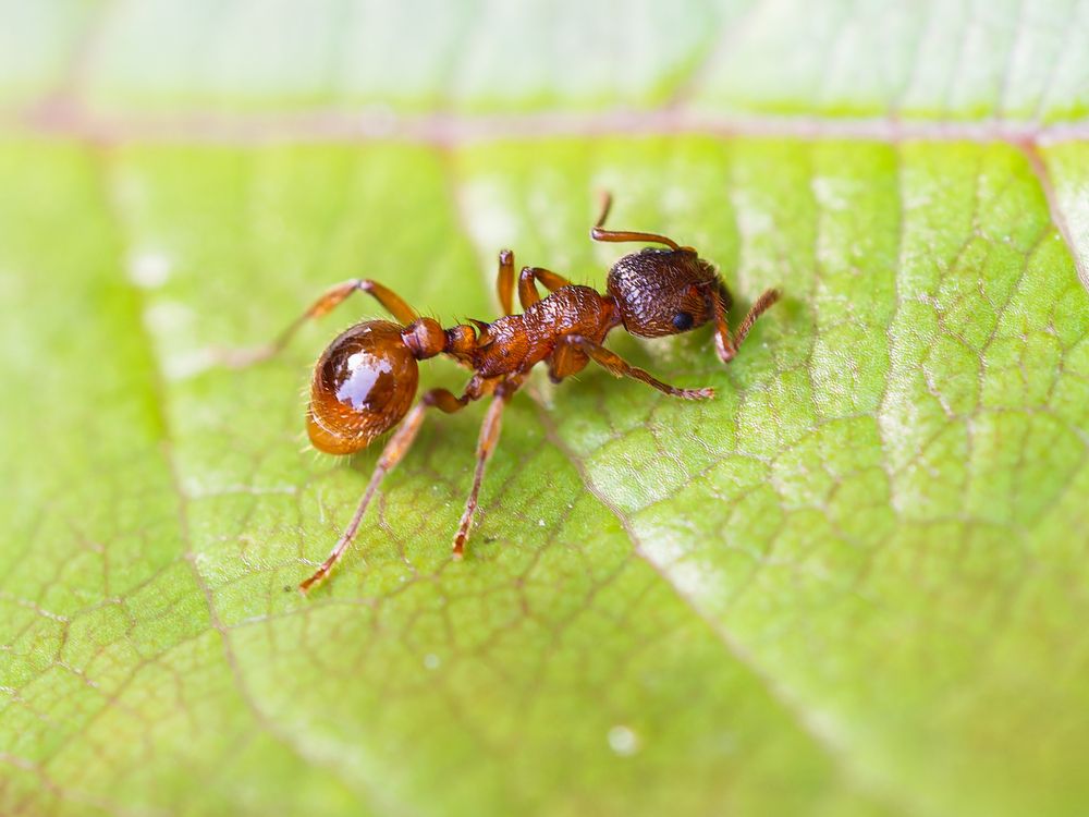 Фотография автора Татаринов Валерий