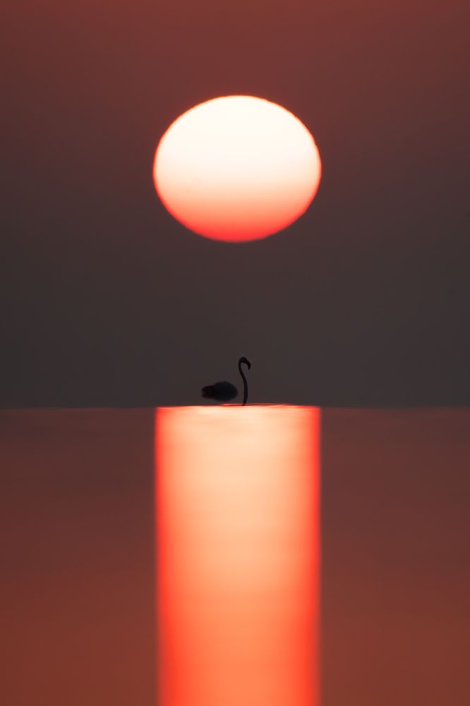 Фотография автора Prejul Prakash