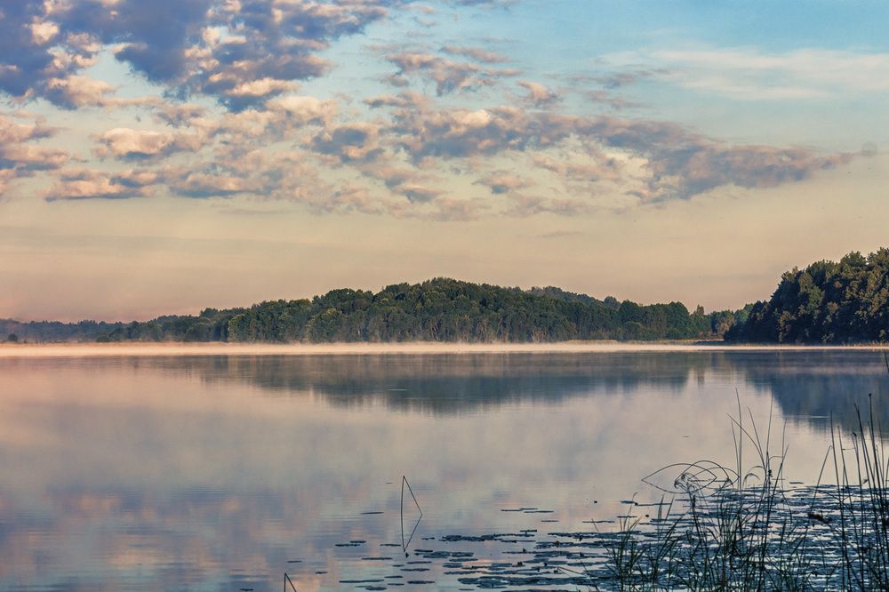 Туманное утро