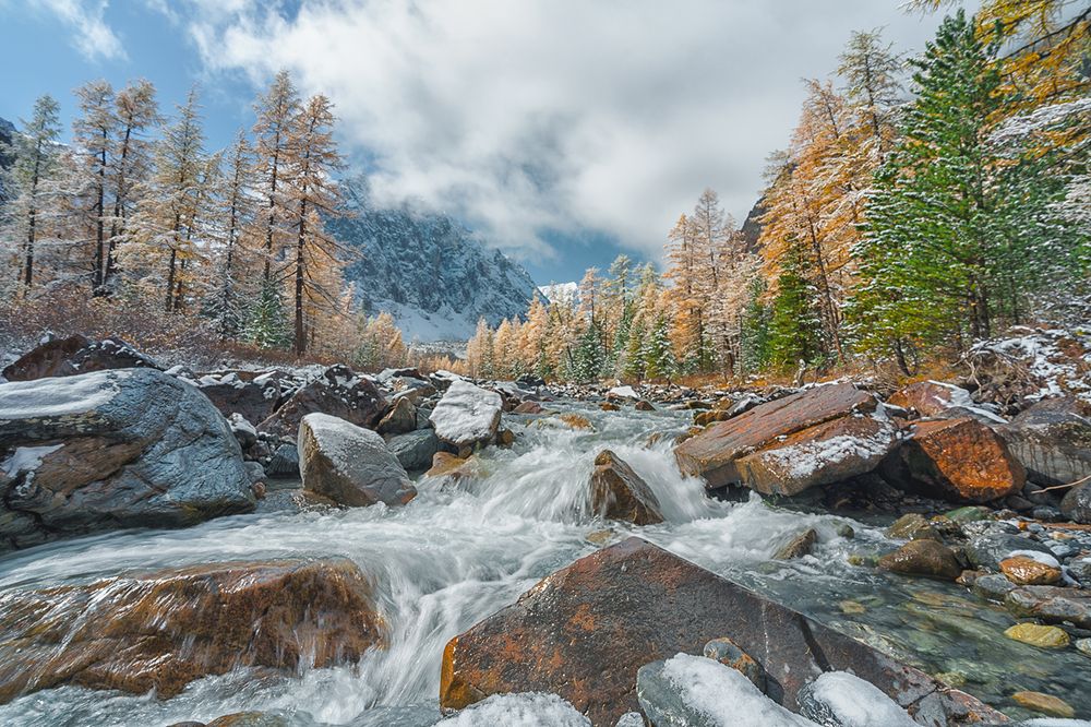 Photograph by Лариса Дука