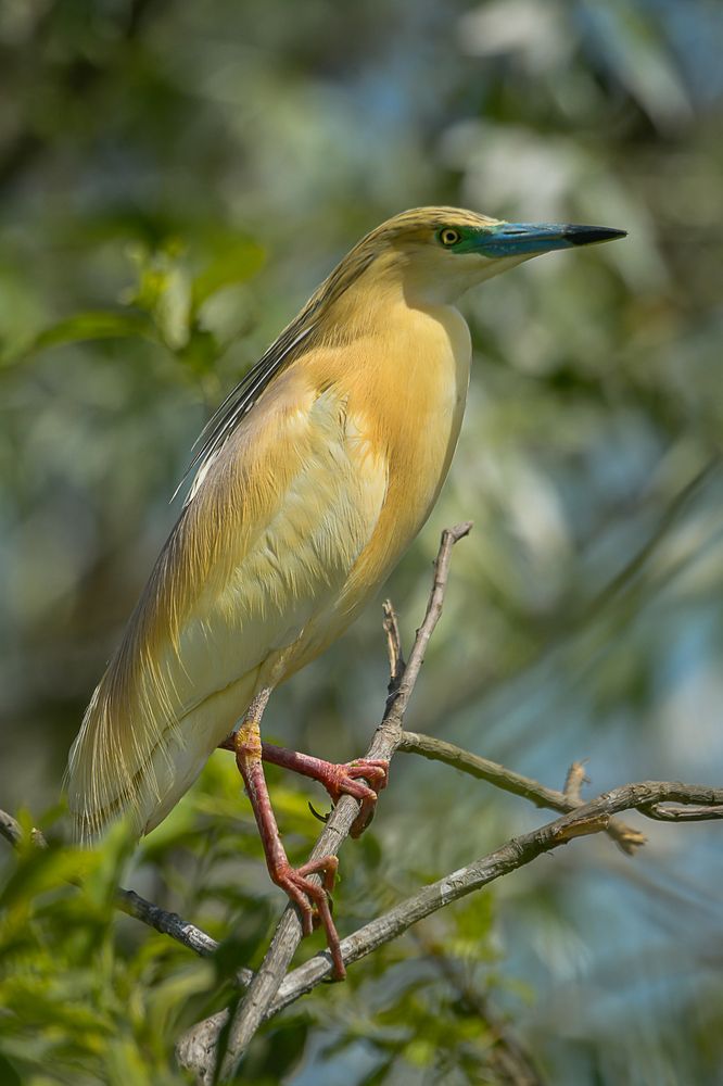 Photograph by Mircea Sirbu