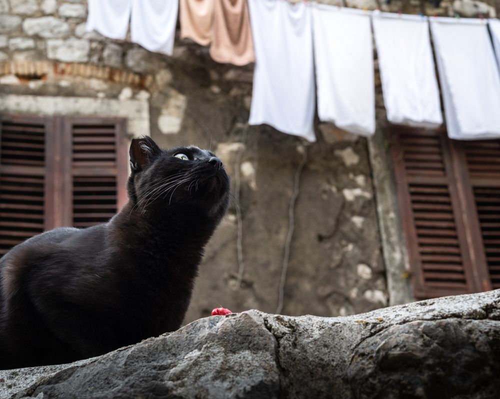 Photograph by Анна Стрелковская