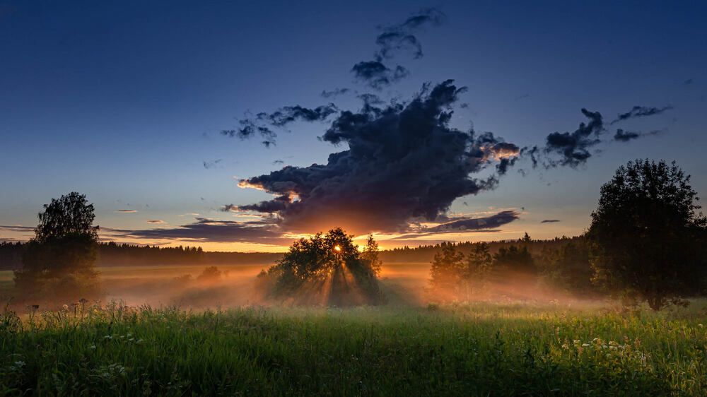 ОРАНЖЕВЫЙ ТУМАН