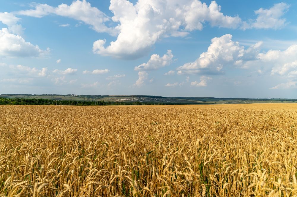 Photograph by Павел Владимирович
