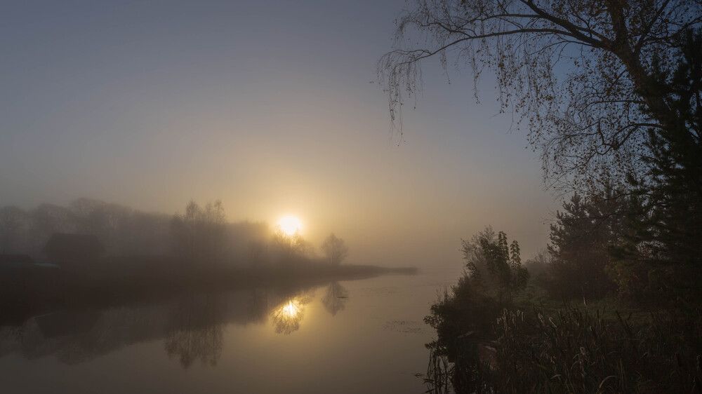 ГУСТОЙ УТРЕННИЙ ТУМАН