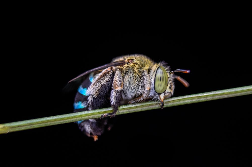 Photograph by ANU K MURALEEDHARAN