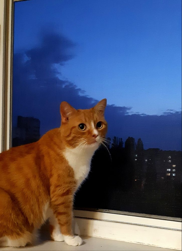 Photograph by Елена Мостовенко