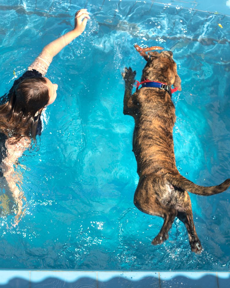 Летние забавы