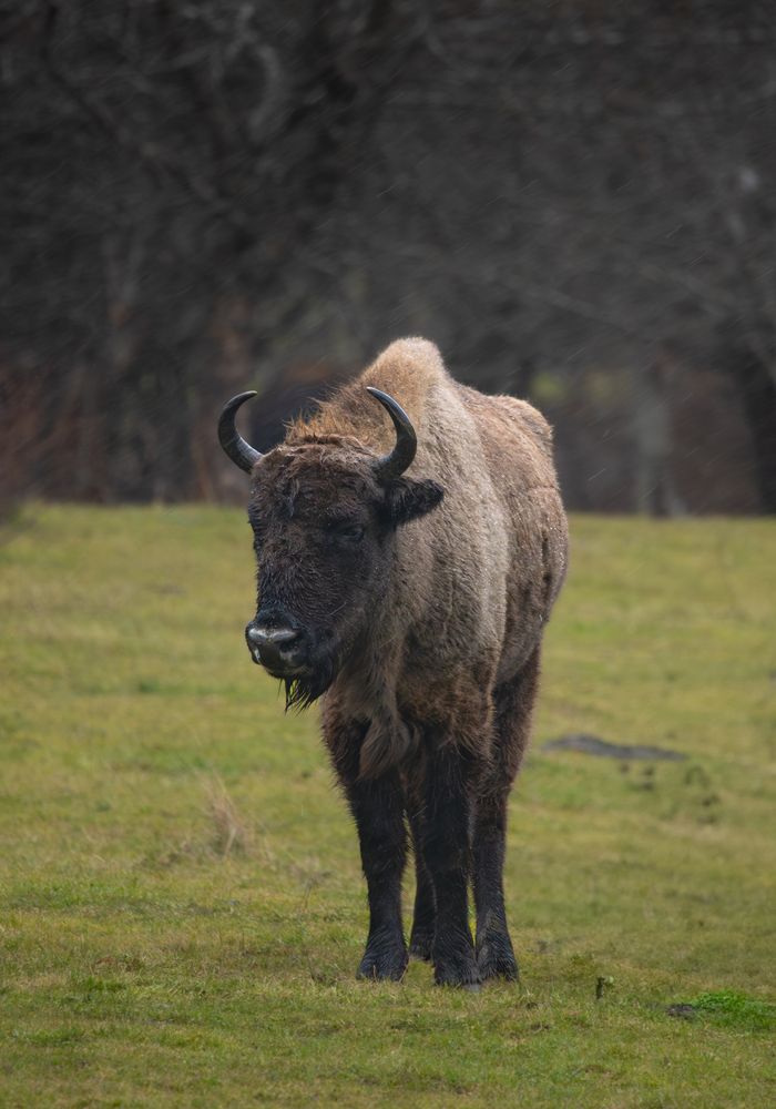 Photograph by alvaro berben marin