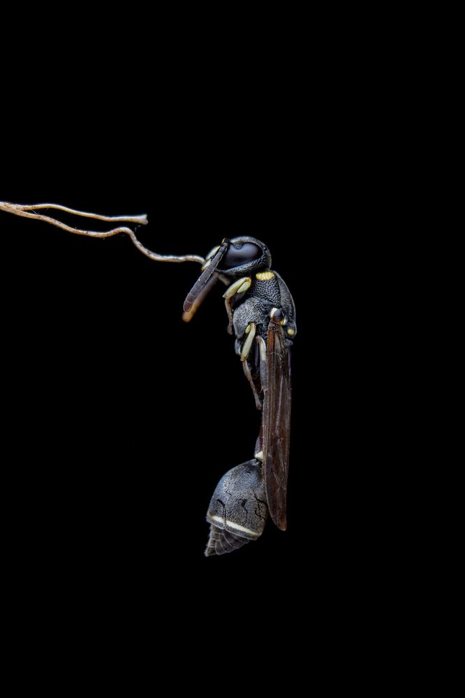 Photograph by ANU K MURALEEDHARAN