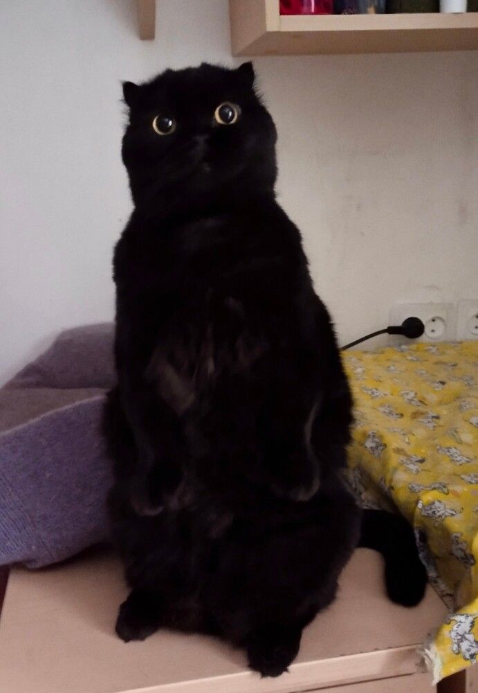 Photograph by Елена Халыева