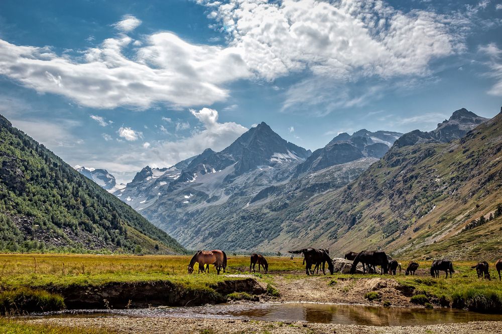 Фотография автора Оксана Кулинская