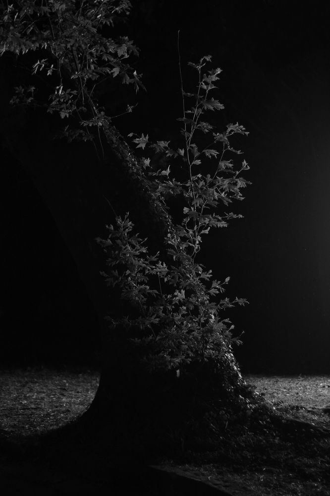 Фотография автора Filippos