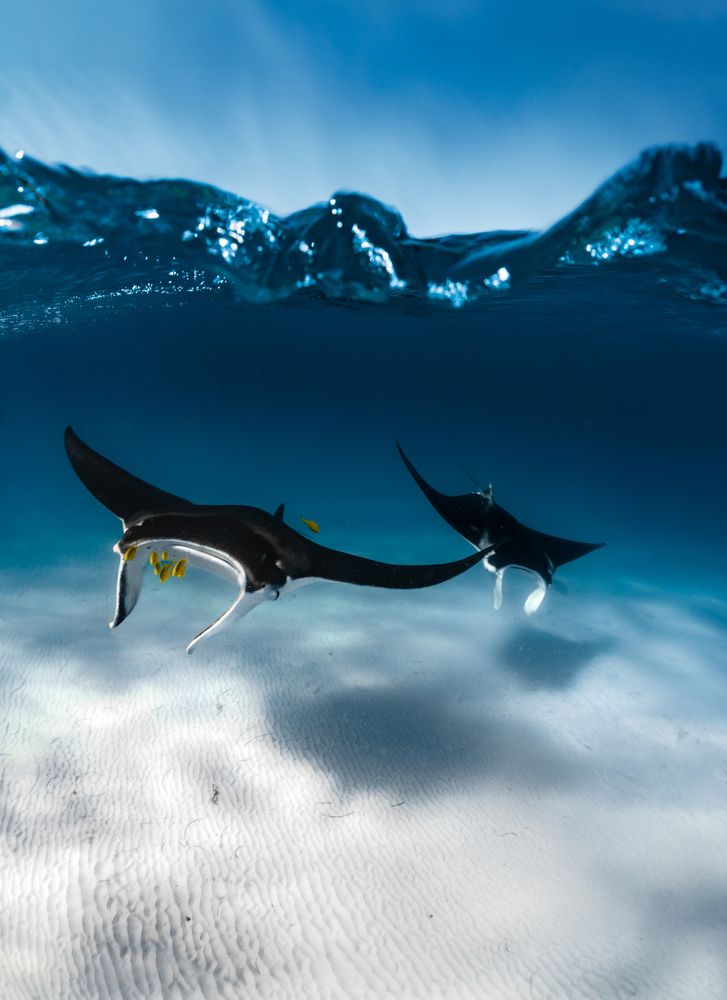 Photograph by Julian Hebenstreit