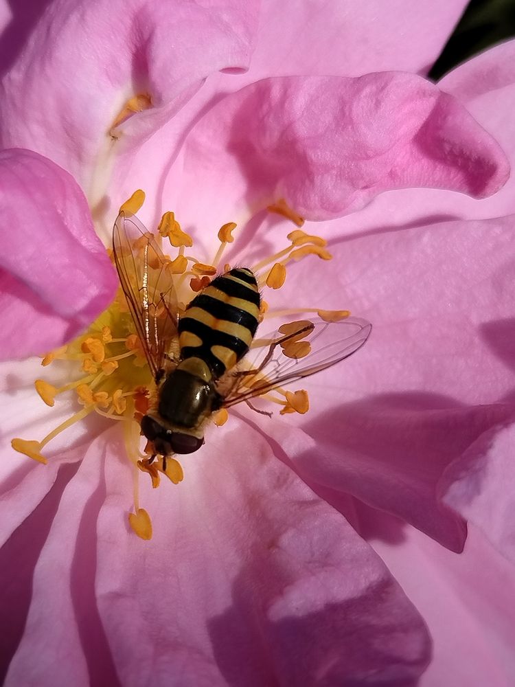 Photograph by Татьяна