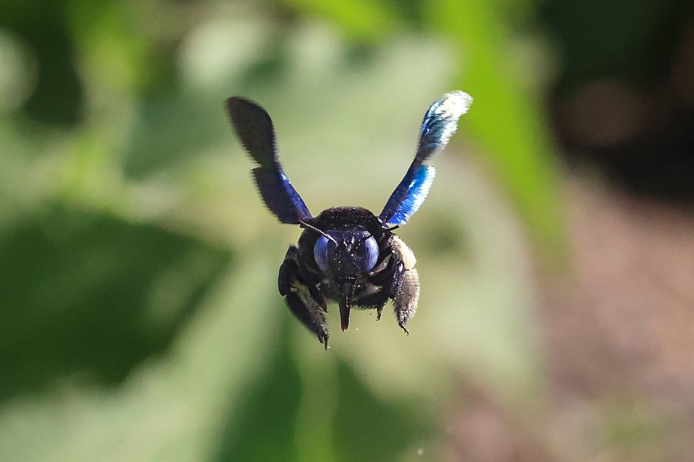Photograph by Dhananjay Thakur