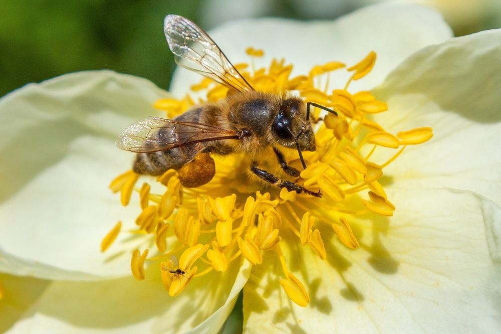 Photograph by Валерий Федяров