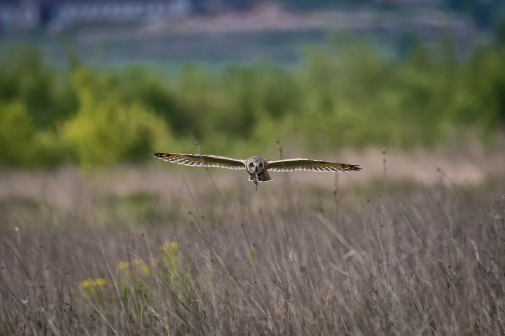 Photograph by Константин Абрамов