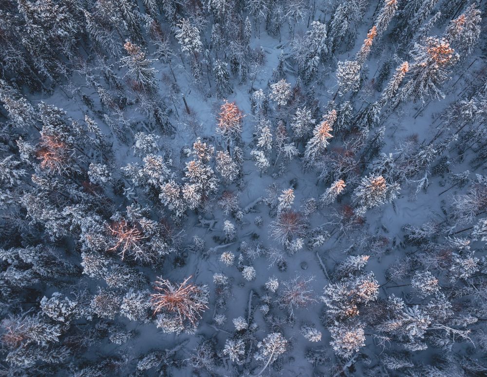 Photograph by Татьяна Борисова