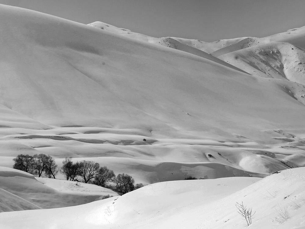 Photograph by Farid Ataei