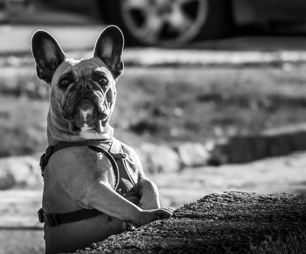 Photograph by Анна Стрелковская