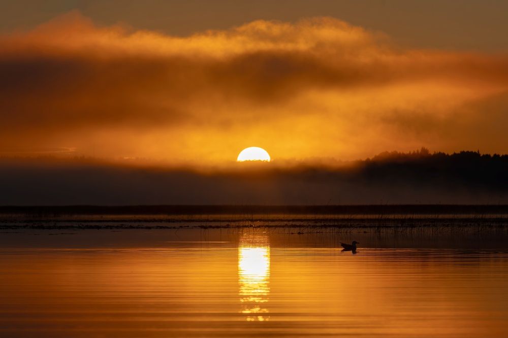 Фотография автора Алексей Туренков