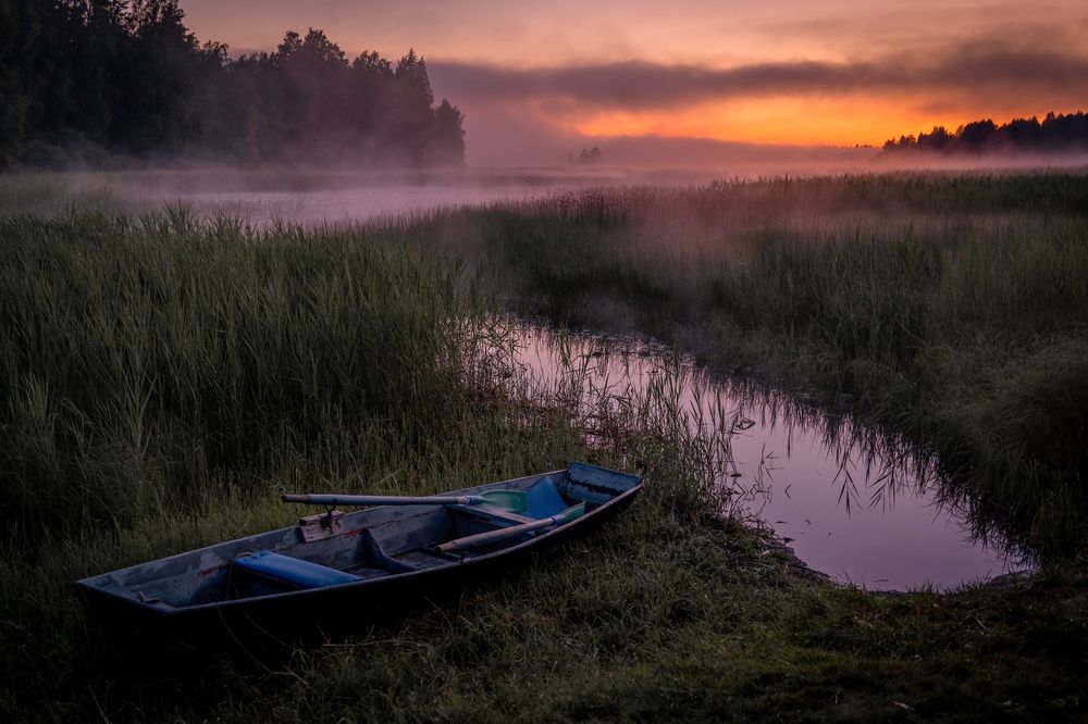 Фотография автора Алексей Туренков