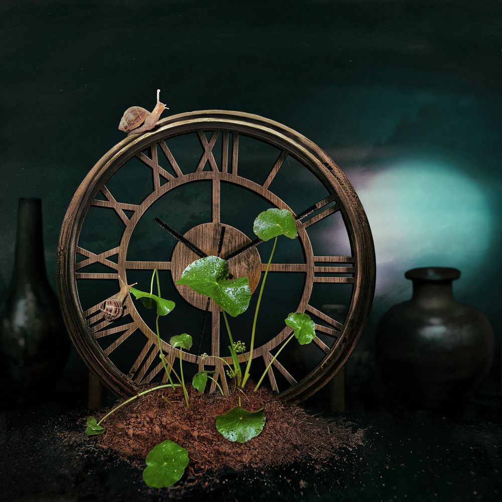 Фотография автора Hau Nguyen Vu