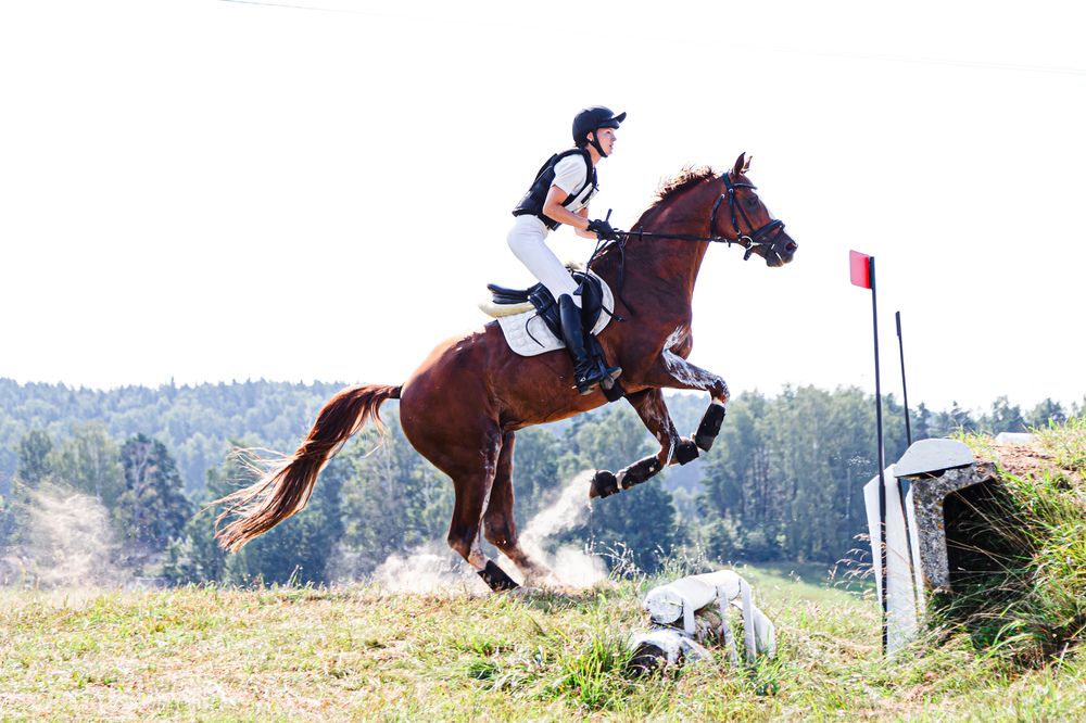 Photograph by Nika Prokopenko