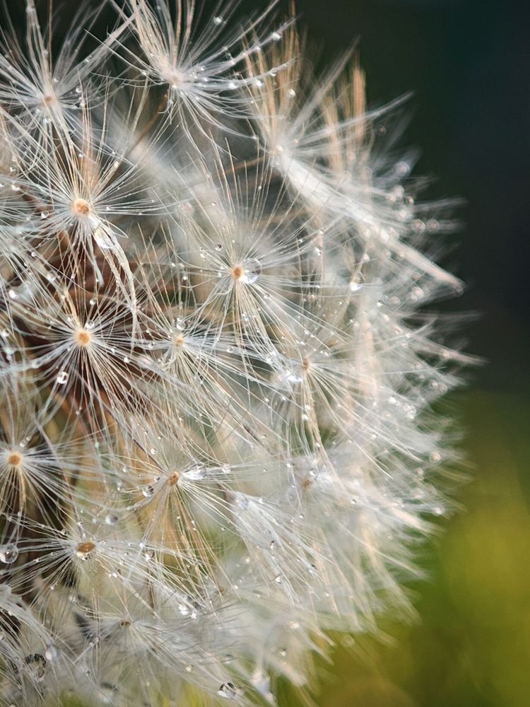 Photograph by Александр