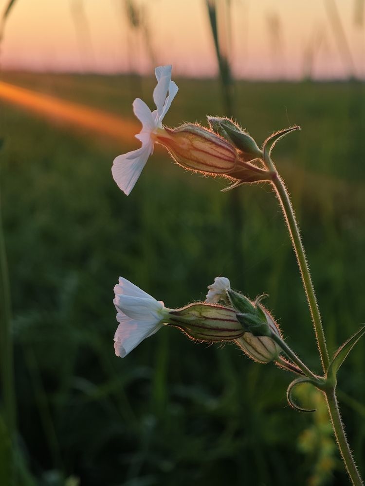 Photograph by Александр