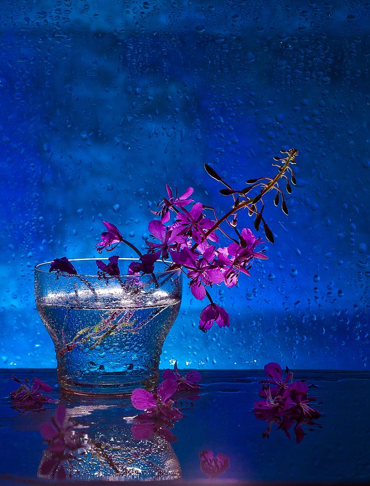 Photograph by Виктория Уварова