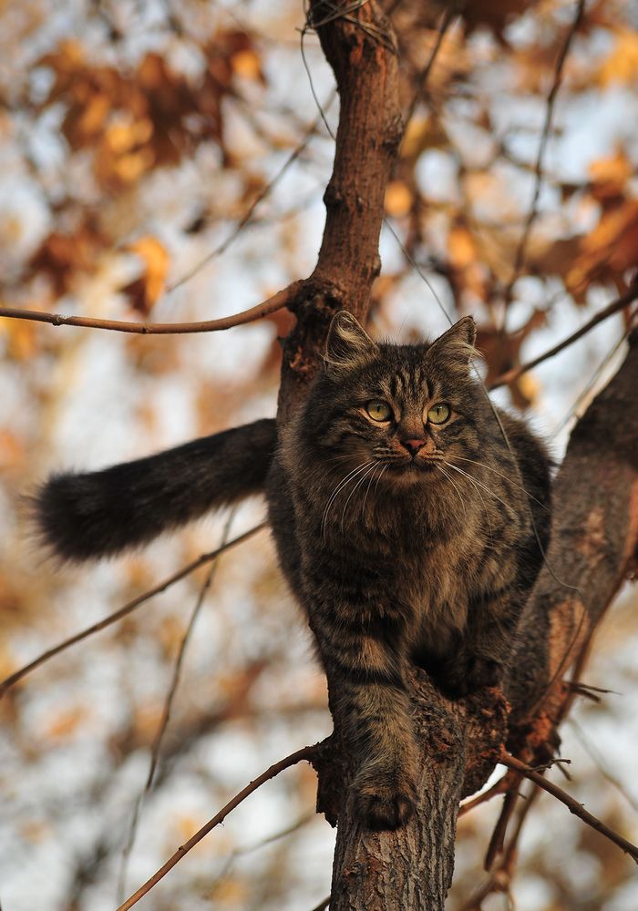 Photograph by Farid Ataei