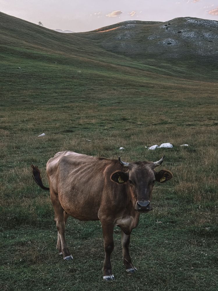 Photograph by Uliana Volegova