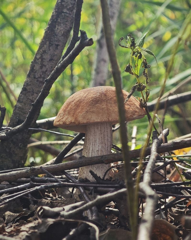 Photograph by Илья