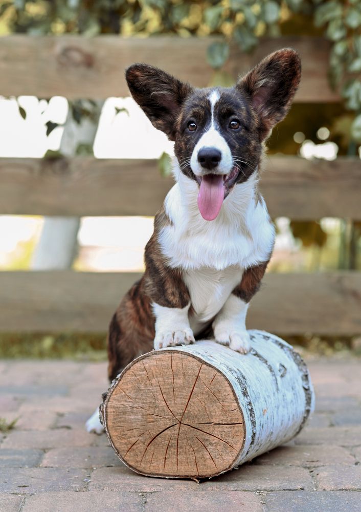 Фотография автора Людмила Капустина